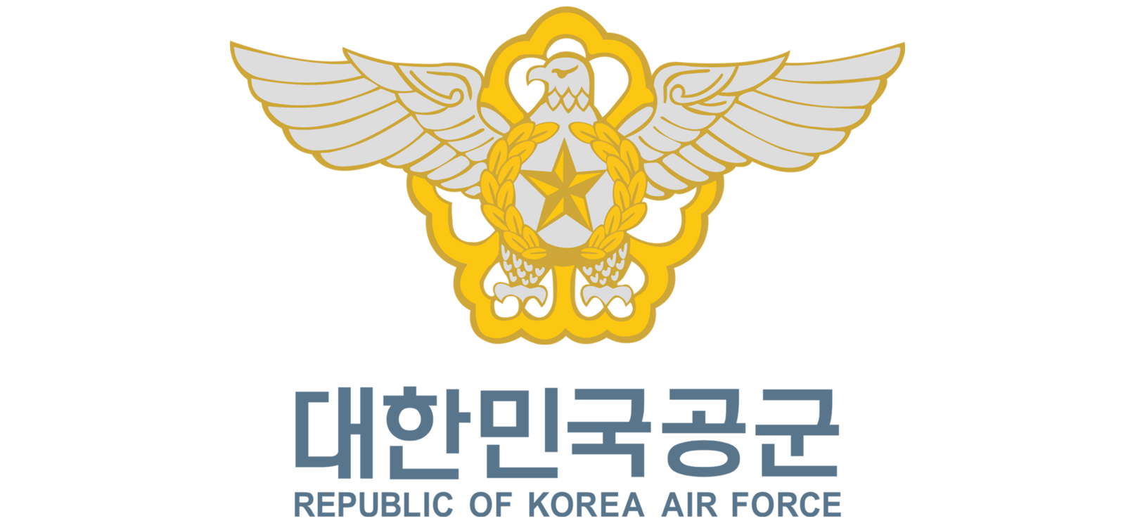 대한민국공군